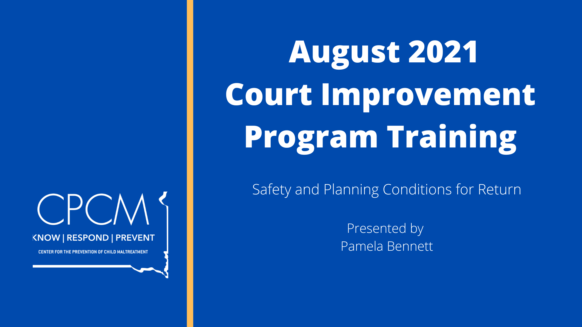 Title screen for Court Improvement Program