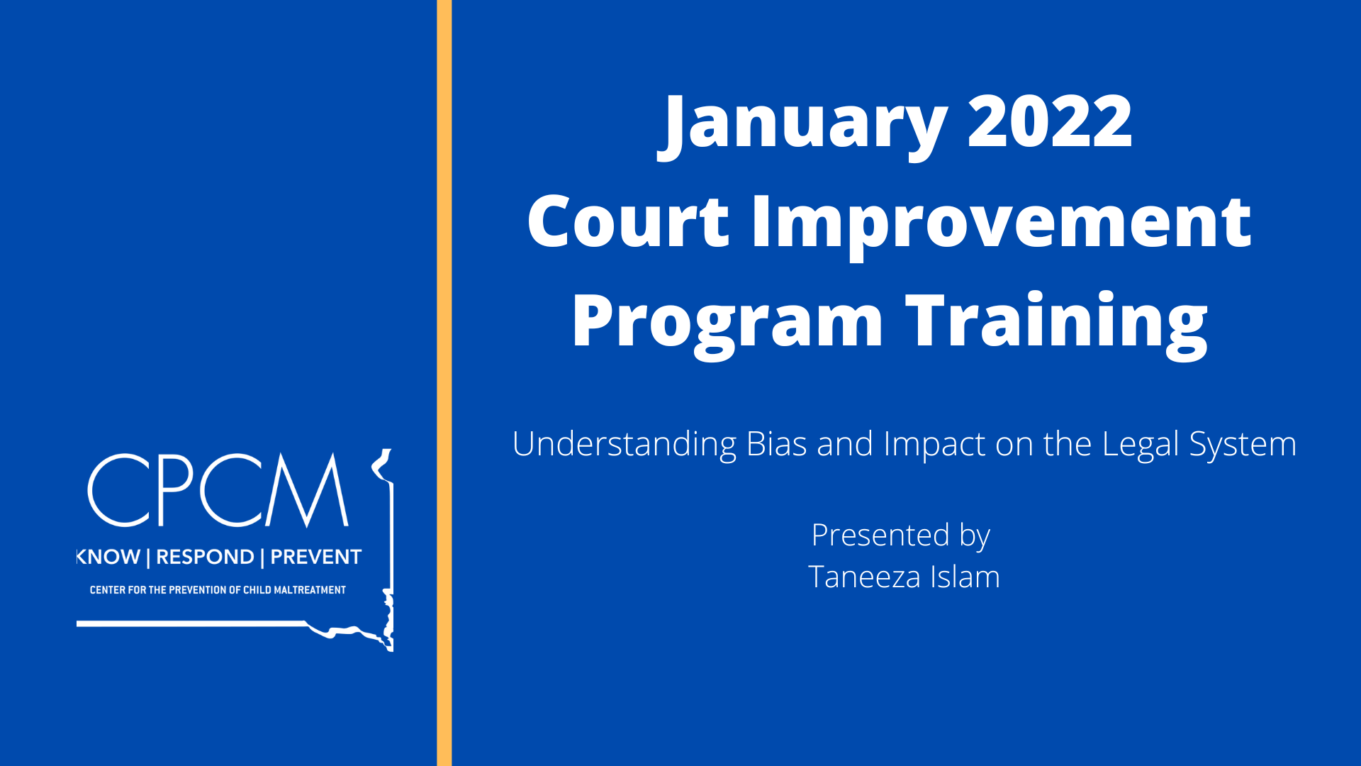 Title screen for Court Improvement Program