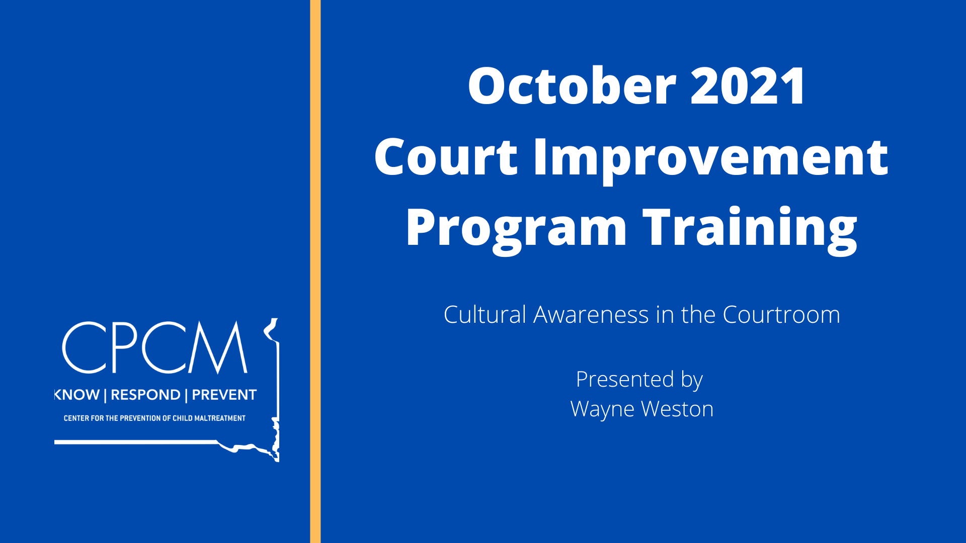 Title screen for Court Improvement Program