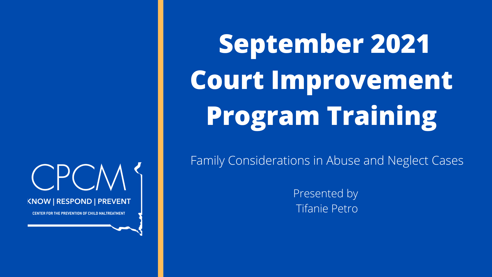 Title screen for Court Improvement Program