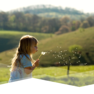 A young girl blowing on a dandelion.