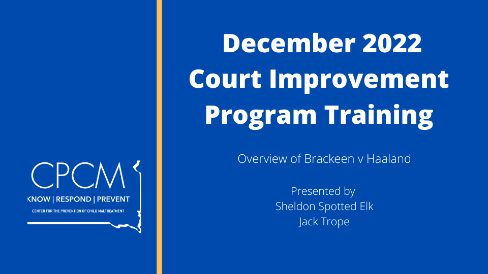 Title screen for Court Improvement Program