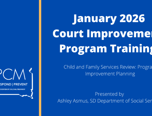 Child and Family Services Review: Program Improvement Planning
