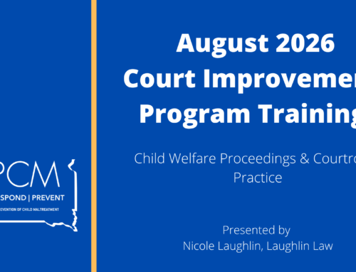 Child Welfare Proceedings & Courtroom Practice